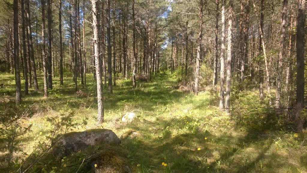 Nature Getaway Holiday Home Mujaste Exteriör bild